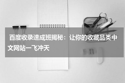  百度收录速成班揭秘：让你的收藏品类中文网站一飞冲天