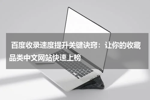  百度收录速度提升关键诀窍：让你的收藏品类中文网站快速上榜
