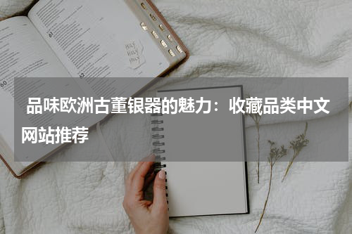  品味欧洲古董银器的魅力：收藏品类中文网站推荐