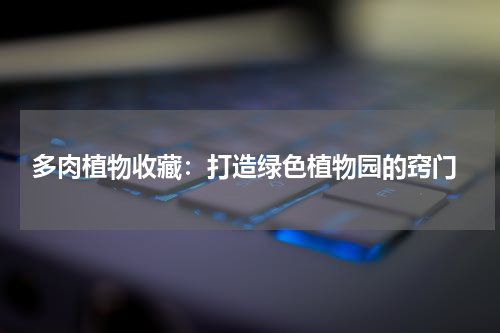  多肉植物收藏：打造绿色植物园的窍门