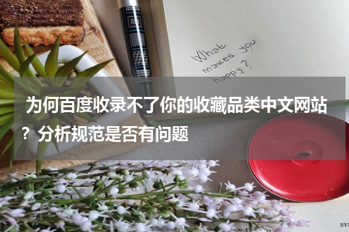  为何百度收录不了你的收藏品类中文网站？分析规范是否有问题