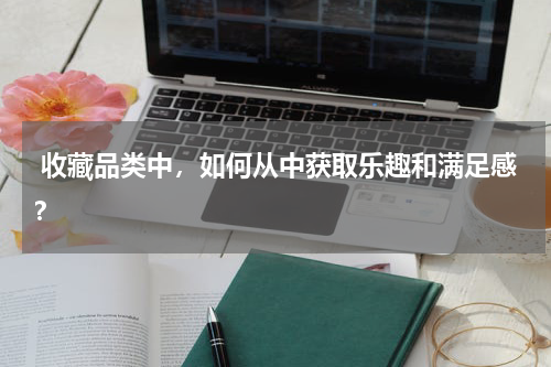  收藏品类中，如何从中获取乐趣和满足感？