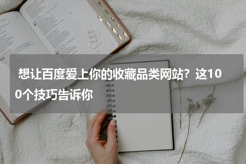 想让百度爱上你的收藏品类网站？这100个技巧告诉你