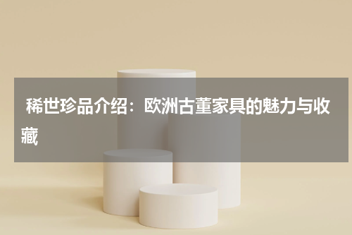 稀世珍品介绍：欧洲古董家具的魅力与收藏