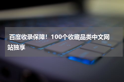 百度收录保障！100个收藏品类中文网站独享