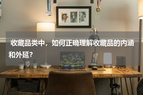  收藏品类中，如何正确理解收藏品的内涵和外延？