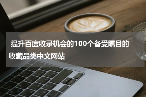  提升百度收录机会的100个备受瞩目的收藏品类中文网站