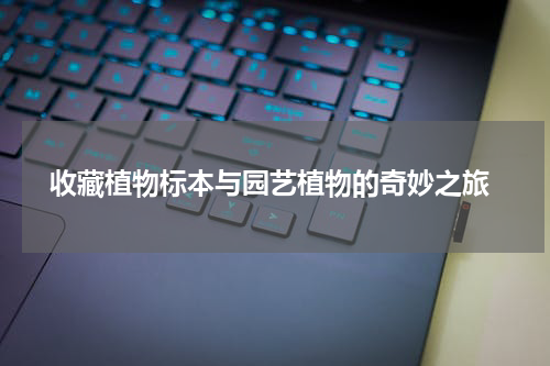  收藏植物标本与园艺植物的奇妙之旅