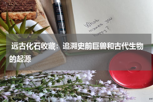  远古化石收藏：追溯史前巨兽和古代生物的起源