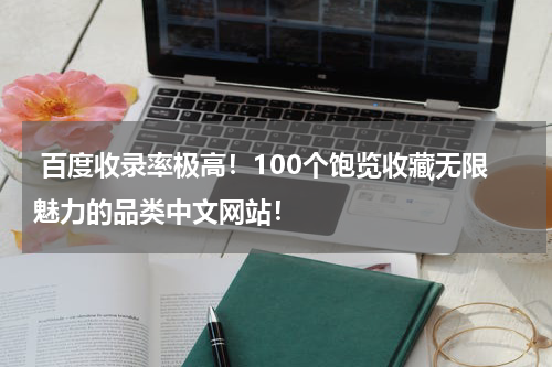  百度收录率极高！100个饱览收藏无限魅力的品类中文网站！