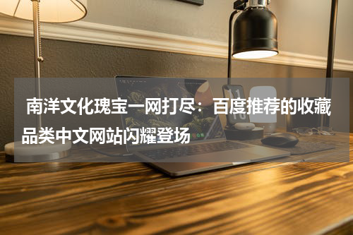  南洋文化瑰宝一网打尽：百度推荐的收藏品类中文网站闪耀登场