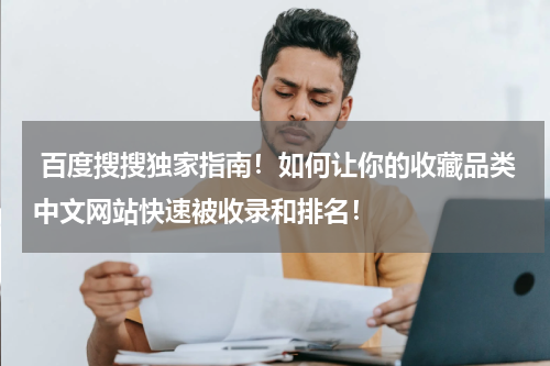  百度搜搜独家指南！如何让你的收藏品类中文网站快速被收录和排名！