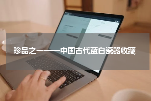  珍品之一——中国古代蓝白瓷器收藏