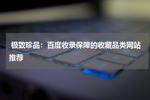  极致珍品：百度收录保障的收藏品类网站推荐