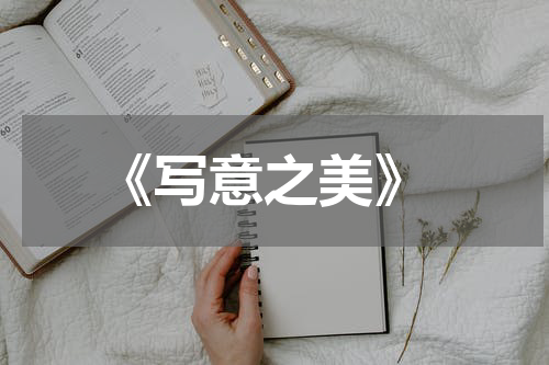  《写意之美》