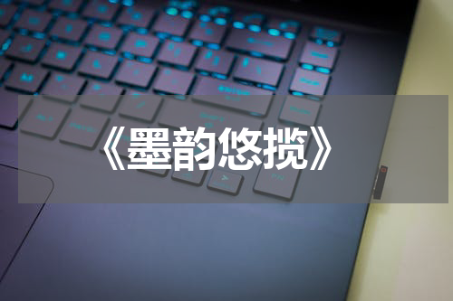  《墨韵悠揽》