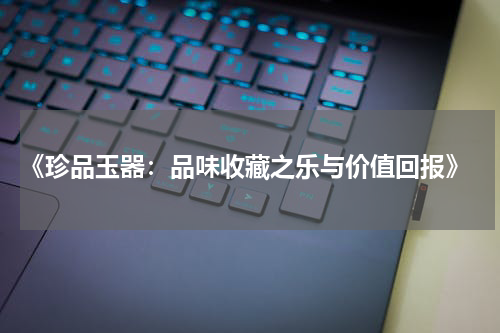  《珍品玉器：品味收藏之乐与价值回报》