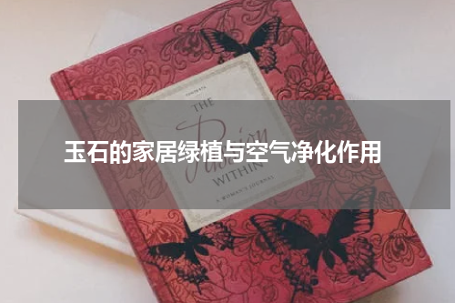  玉石的家居绿植与空气净化作用