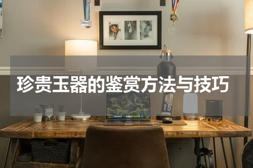  珍贵玉器的鉴赏方法与技巧