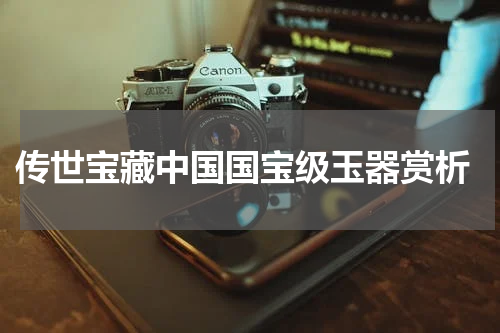  传世宝藏中国国宝级玉器赏析