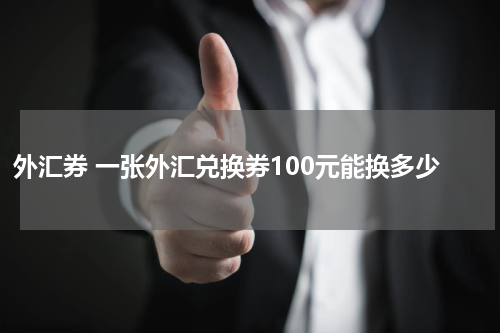 外汇券 一张外汇兑换券100元能换多少