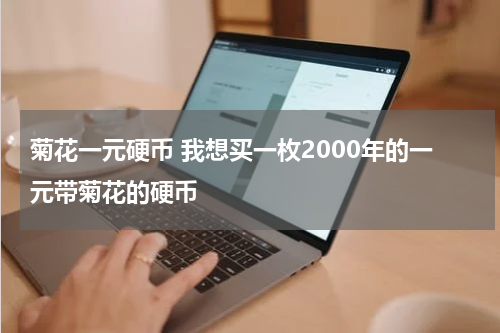 菊花一元硬币 我想买一枚2000年的一元带菊花的硬币