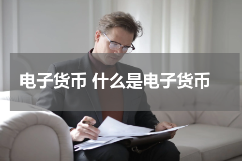 电子货币 什么是电子货币