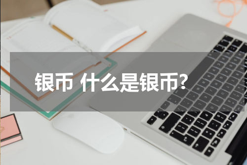 银币 什么是银币?