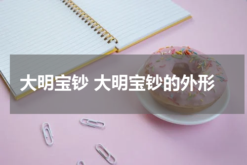大明宝钞 大明宝钞的外形
