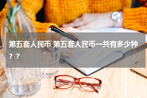 第五套人民币 第五套人民币一共有多少种？？