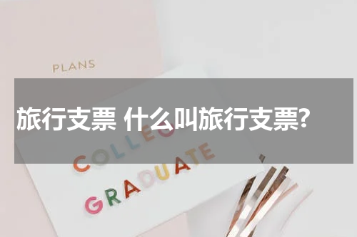 旅行支票 什么叫旅行支票?