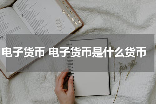 电子货币 电子货币是什么货币