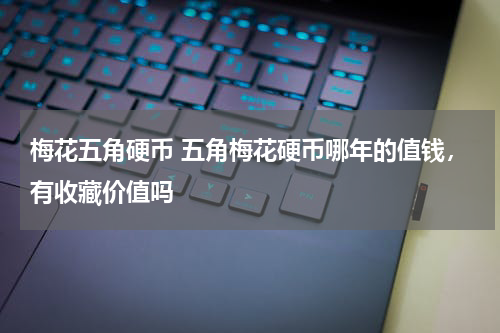 梅花五角硬币 五角梅花硬币哪年的值钱，有收藏价值吗