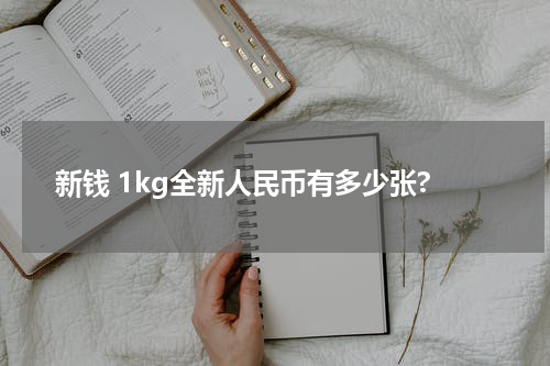 新钱 1kg全新人民币有多少张?